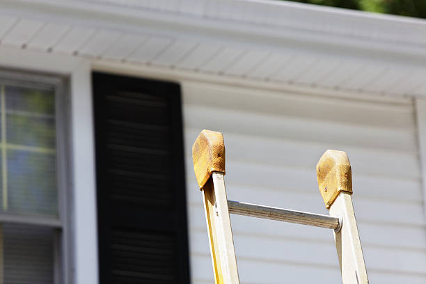Same-Day Junk Removal Services in Palm Shores, FL